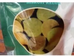 Superfood Lokal Inovasi Kelor, Perempuan Desa NTT Temukan Solusi Cerdas Atasi Stunting.