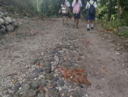 Anak SD di Satar Punda Terpaksa Jalan 12 Km Setiap Hari, Pemerintah Masih Tutup Mata!