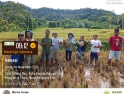 Maxi Agri Tegaskan Dukungan Berkelanjutan bagi Petani Golo Tolang Lewat Panen Perdana di Ketang