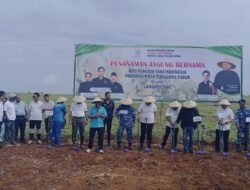 Sinergi Mendukung Ketahanan Pangan dan Kebangkitan Pertanian di NTT: PT SMJ Berkolaborasi dengan Pemuda Tani Indonesia dan Lanud El Tari Tanam Jagung Perdana di Kupang