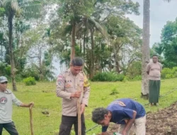 Gerakan NTT Lumbung Jagung Nasional: Inisiatif Kapolda NTT Perkuat Kemandirian Pangan Desa
