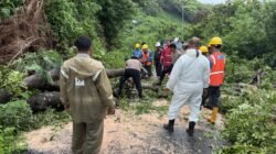 Terobos Cuaca Ekstrem, Sinergi Polisi–PLN–BPBD Pulihkan Akses Vital Pasca Pohon Tumbang Di Labuan Bajo