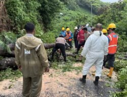 Terobos Cuaca Ekstrem, Sinergi Polisi–PLN–BPBD Pulihkan Akses Vital Pasca Pohon Tumbang Di Labuan Bajo