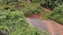 Akibat Longsor, Jalur Werang–Bambor Lumpuh Total