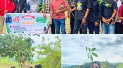 AJO Manggarai Timur Peringati HPN 2026 dengan Aksi Penghijauan di Borong