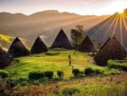 Komitmen Pelestarian Budaya, Pemkab Manggarai Lanjutkan Revitalisasi Mbaru Gendang Tahun 2026