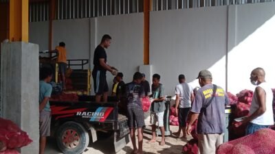 Revolusi Transparansi di Reo: Pabrik Porang Piter Henoek Jadi Magnet Petani Berkat Sistem Timbangan Digital dan Harga Stabil