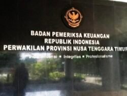 Fee Terlalu Besar: Aktivis Minta BPK Usut Dugaan Korupsi Proyek Lapen 1,2 Miliar Milik Aris Olang