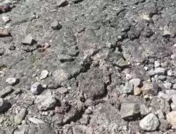 Baru Seumur Jagung, Jalan Rp1,2 Miliar di Manggarai Timur Hancur: Aktivis Desak Badan Pemeriksa Keuangan Bongkar Dugaan Korupsi Sistematis