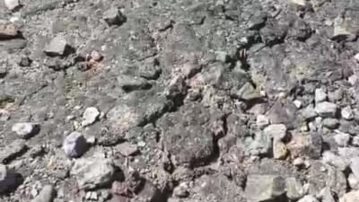 Baru Seumur Jagung, Jalan Rp1,2 Miliar di Manggarai Timur Hancur: Aktivis Desak Badan Pemeriksa Keuangan Bongkar Dugaan Korupsi Sistematis