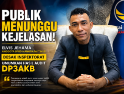 Publik Menunggu Kejelasan! Elvis Jehama Desak Inspektorat Umumkan Hasil Audit DP3AKB