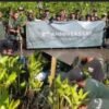 Dua Tahun Bersemi, Glampnusa Resort Hijaukan Pesisir Simbar Segara dengan Mangrove