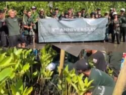 Dua Tahun Bersemi, Glampnusa Resort Hijaukan Pesisir Simbar Segara dengan Mangrove