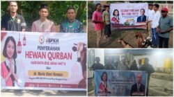 Bantuan Kurban Iduladha, Senator Stevi Harman Pertegas Komitmen Toleransi di NTT