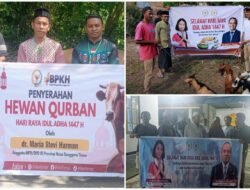 Bantuan Kurban Iduladha, Senator Stevi Harman Pertegas Komitmen Toleransi di NTT