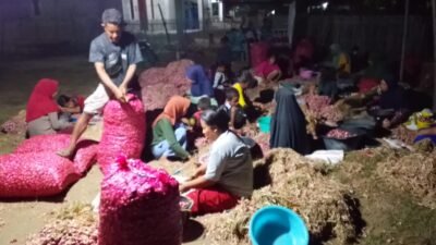 Pangkas Mata Rantai Tengkulak, Pengusaha Di Labuan Bajo Gelar Pasar Murah Bawang Merah Rp 23.000  per Kilogram