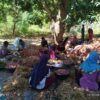 Stok Bawang Merah Labuan Bajo Aman Tiga Bulan, Inisiatif Pengusaha Lokal Tekan Harga dan Buka Lapangan Kerja