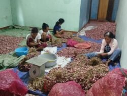 Stok Bawang Merah di Labuan Bajo Dipastikan Tetap Aman, Kualitas Terbaik dan Harga Murah, Masyarakat Apresiasi Peran Ninonk