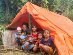 Pemuda Katolik Daratan Timor Kirim Relawan Kemanusiaan Bantu Korban Gempa Flores