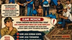 Pasca Gempa, Ratusan Hektare Sawah di Bangka Kantar dan Golo Kantar Terancam Gagal Panen