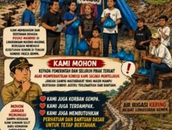 Pasca Gempa, Ratusan Hektare Sawah di Bangka Kantar dan Golo Kantar Terancam Gagal Panen