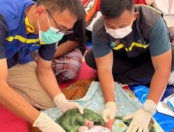 Kisah Harapan dari Posko Sambi Rampas: Muhammad Gentar dan Dua Bayi Lahir Selamat