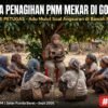 MENJERIT DI BAWAH POHON: Mama-Mama Gongger Satar Punda Barat Tak Berdaya di Depan Buku Tagihan PNM Mekar, Ekonomi Hancur Akibat Gempa