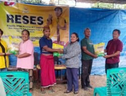 Gelar Reses di Reok, Anggota Komisi II DPRD NTT Fraksi Golkar Simprosa Rianasari Gandut Salurkan 2 Ton Beras