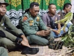 Pembabatan Kopi di Congkar dan Golo Wuas Disorot Keras AMAN, Masyarakat Adat Dua Kali Menang di Pengadilan