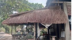 Buka Cabang di Maumere, Rumah Wunut Dukung Gerakan Lingkungan dan Kemanusiaan LSM ILMU
